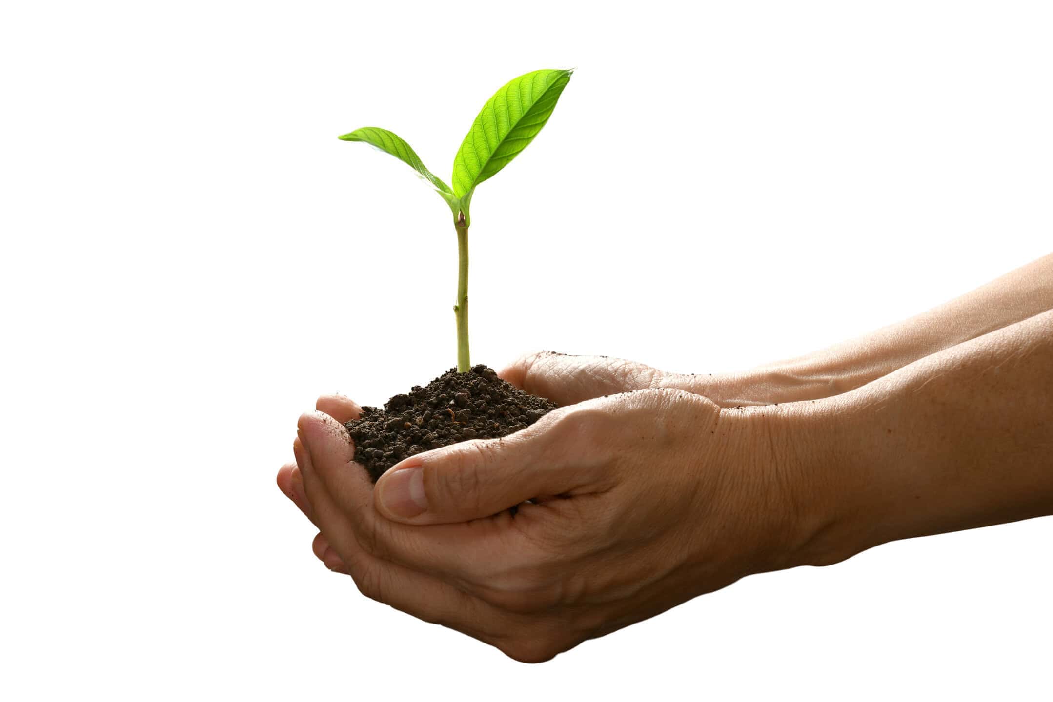 development in property industry 1