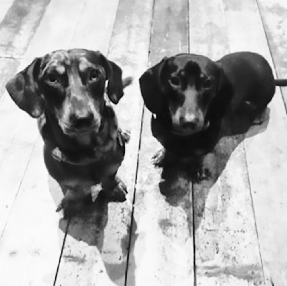 pablo_and_dudley_img